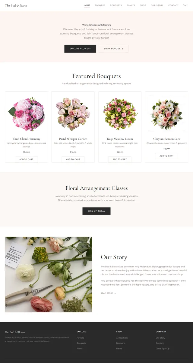 Ally's site